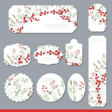 Koleksiyonu farklı çiçek kağıt etiketleri duyurular için. Yuvarlak, kare, dikdörtgen, farklı şekiller. Kırmızı meyveler ve otlar. Kır çiçekleri.