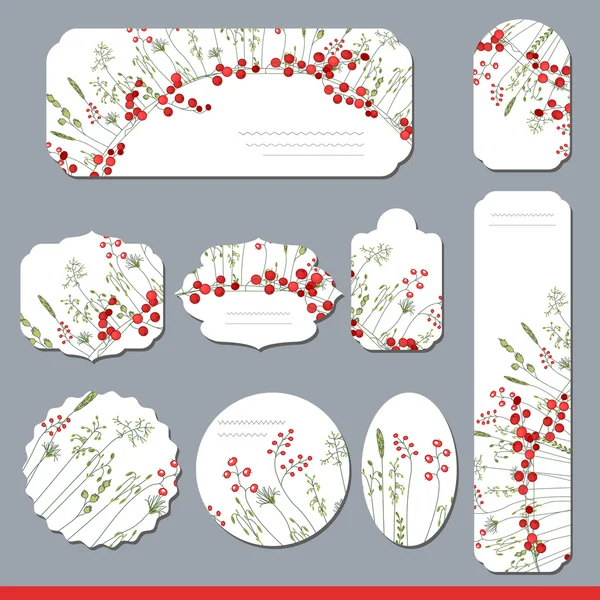 Coleção com diferentes etiquetas de papel floral para anúncios. Rodada, quadrada, retangular, formas diferentes. Bagas vermelhas e ervas. Flores silvestres . —  Vetores de Stock