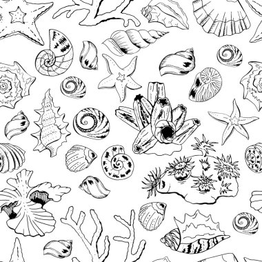Mercanlar, kabuklar ve deniz yıldızlarıyla kusursuz desen. Tasarımınız için sonsuz doku