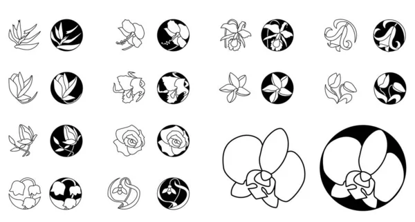 Big Set Floral Abstract Symbols — Stock Vector