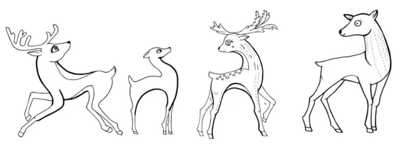 Niedliche Hirsche Isoliert Auf Weißem Hintergrund — Stockvektor