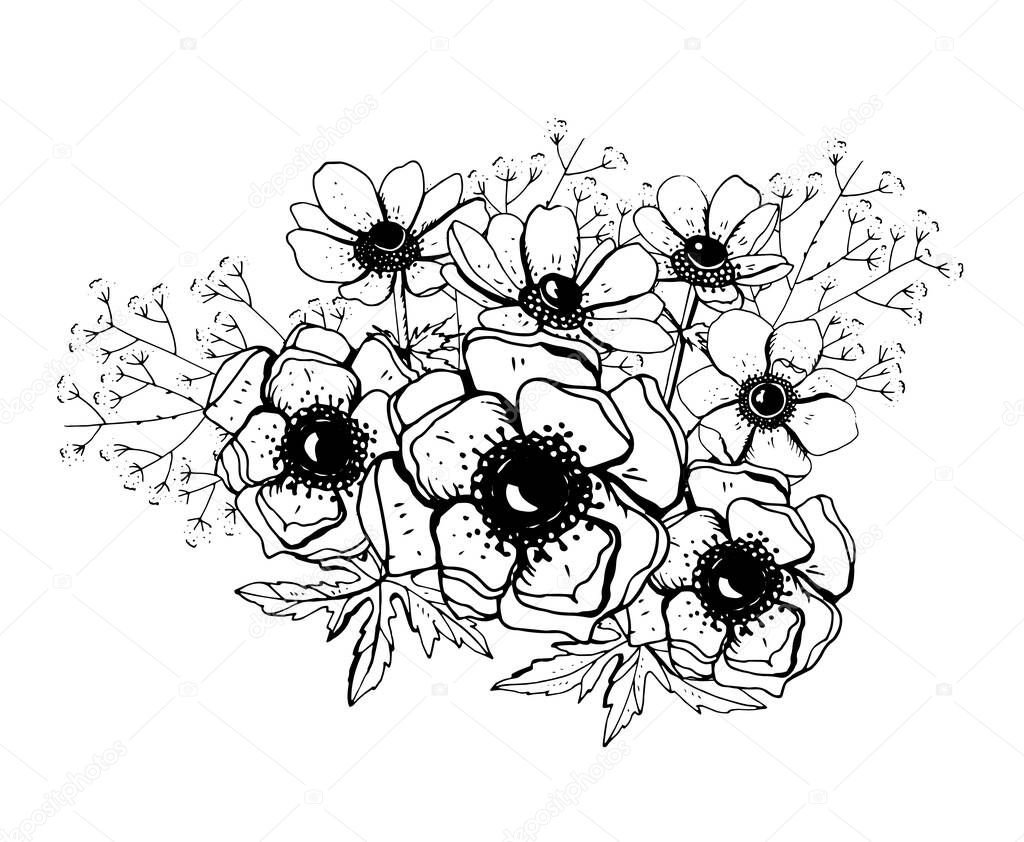 Bunch with elegant monochrome anemones. Black and white objects isolated on white background