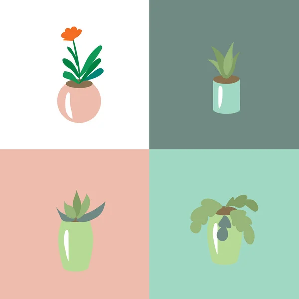 Set Avec Différentes Plantes Stylisées Maison — Image vectorielle