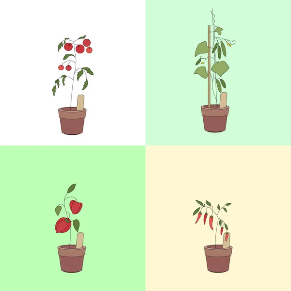 Ensemble Avec Différents Légumes Différentes Sortes Couleurs — Image vectorielle