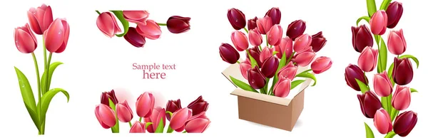 Floral Frames Mit Tulpen Auf Weißem Hintergrund — Stockfoto