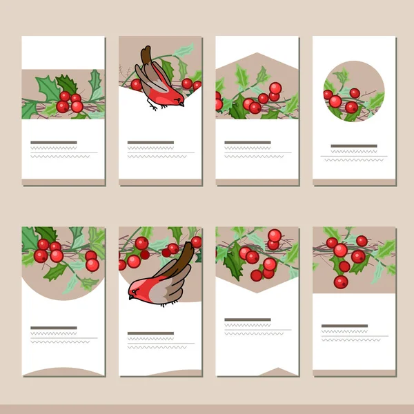 Zestaw Różnymi Szablonami Świąt Zimowych Dekoracją Karty Świątecznego Projektu Reklamy — Zdjęcie stockowe