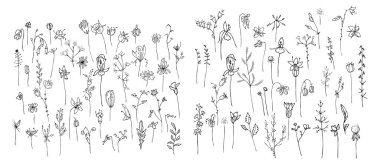 Farklı şekillendirilmiş kır çiçekleriyle büyük bir set. Siyah ve beyaz çizgisel versiyonu. Resim b renkleri için kullanılabilir