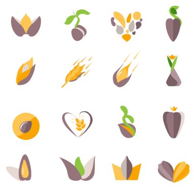 Şekil verilmiş mısır ve tohumlar. Farklı soyut moda sembolleriyle ayarlayın. Tasarım projeleriniz için modern ekolojik logolar. Düz biçim.