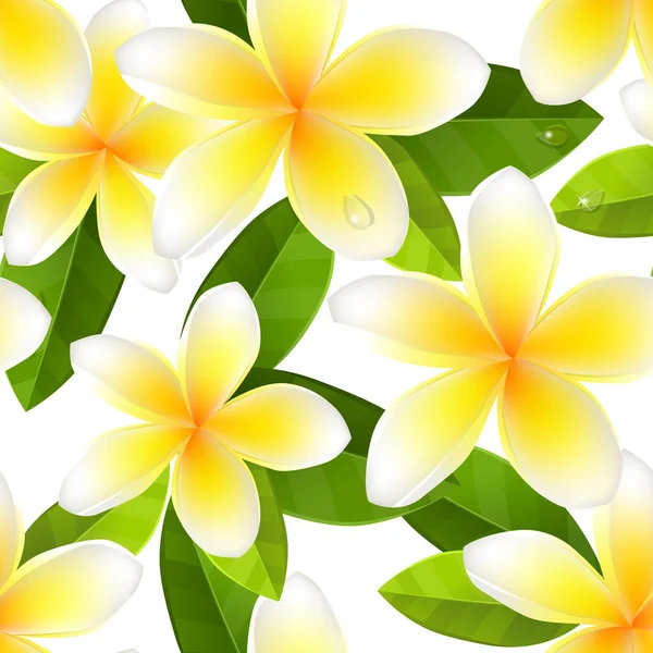 Naadloos Patroon Met Witte Frangipani Bloemen Mooie Eindeloze Textuur Voor — Stockvector