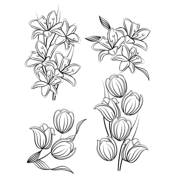 Fleurs Tulipes Lis Noirs Blancs Illustration Peut Être Utilisé Pour — Image vectorielle