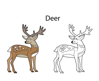 Beyaz arka planda izole edilmiş komik sevimli hayvan geyiği. Doğrusal, hatsız, siyah-beyaz ve renkli versiyonu. Resimler boyama kitabı ve çocuklar için resimler için kullanılabilir