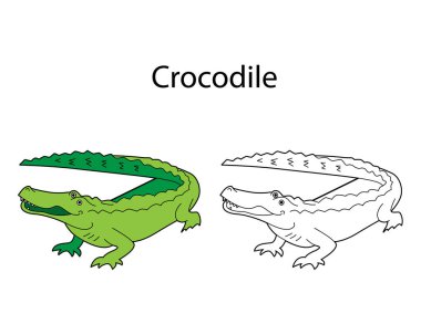 Beyaz arka planda izole edilmiş komik, sevimli bir timsah. Doğrusal, hatsız, siyah-beyaz ve renkli versiyonu. Resimler boyama kitabı ve çocuklar için resimler için kullanılabilir