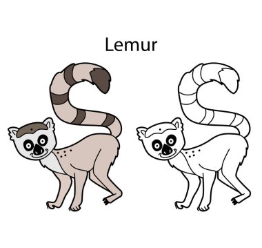 Beyaz arka planda izole edilmiş komik bir hayvan lemuru. Doğrusal, hatsız, siyah-beyaz ve renkli versiyonu. Resimler boyama kitabı ve çocuklar için resimler için kullanılabilir