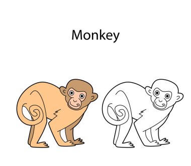Beyaz arka planda izole edilmiş komik şirin hayvan maymunu. Doğrusal, hatsız, siyah-beyaz ve renkli versiyonu. Resimler boyama kitabı ve çocuklar için resimler için kullanılabilir
