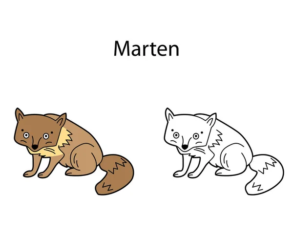 有趣的可爱动物Marten孤立在白色背景 等高线 黑白和彩色版本 图解可用于儿童书籍和图片的着色 — 图库矢量图片