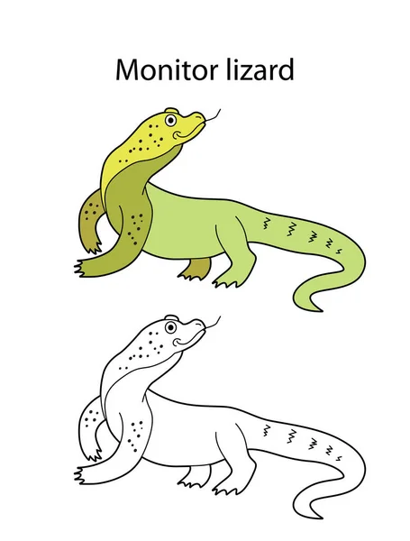 白い背景に隔離された面白いかわいい動物モニタトカゲ 黒と白と色のバージョン イラストは子どもの本や絵のぬり絵にも使えます — ストックベクタ