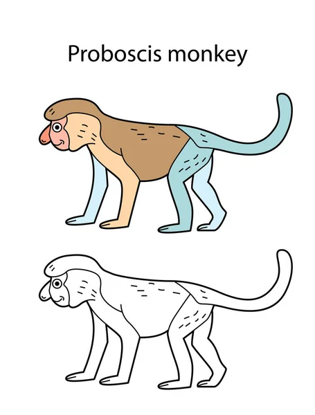 Drôle Mignon Animal Proboscis Singe Isolé Sur Fond Blanc Version — Image vectorielle