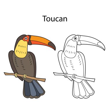 Beyaz arka planda izole edilmiş komik sevimli hayvan tukanları. Doğrusal, hatsız, siyah-beyaz ve renkli versiyonu. Resimler boyama kitabı ve çocuklar için resimler için kullanılabilir