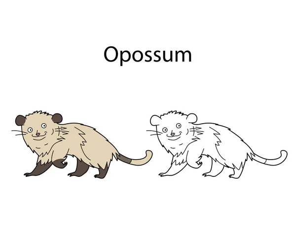 Drôle Opossum Animal Mignon Isolé Sur Fond Blanc Version Linéaire — Image vectorielle