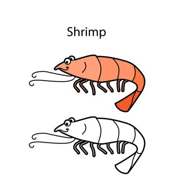 Beyaz arka planda izole edilmiş komik, sevimli hayvan karidesi. Doğrusal, hatsız, siyah-beyaz ve renkli versiyonu. Resimler boyama kitabı ve çocuklar için resimler için kullanılabilir