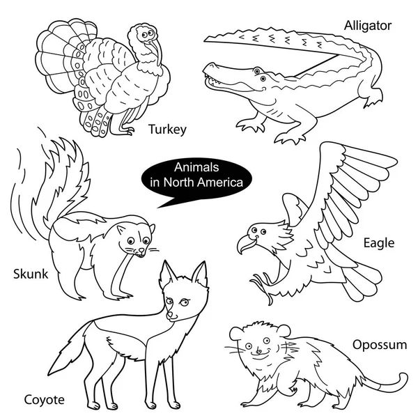 Ingericht Met Grappige Schattige Dieren Die Noord Amerika Leven Objecten — Stockvector