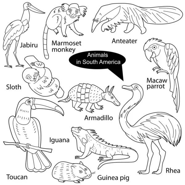 Σετ Αστεία Χαριτωμένα Ζώα Που Ζουν Στη Νότια Αμερική Αντικείμενα — Διανυσματικό Αρχείο