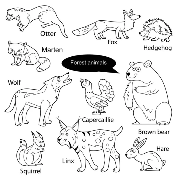 Set Con Divertidos Animales Lindos Que Viven Bosque Objetos Aislados — Vector de stock