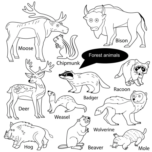 Set Con Divertidos Animales Lindos Que Viven Bosque Objetos Aislados — Vector de stock