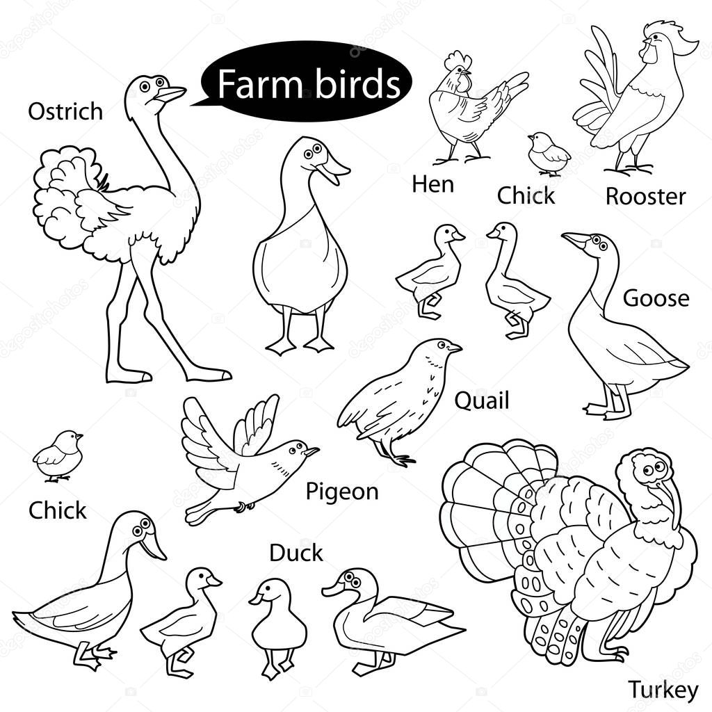 Set with funny cute birds living at farm.  Objects isolated on white background. Linear, contour, black and white  version. Illustration can be used for coloring book and pictures for children