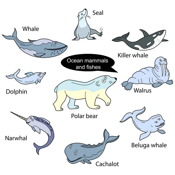 바다에 재미있는 귀여운 동물들 배경에 등고선 삽화는 어린이들을 그림으로 수있다 — 스톡 벡터