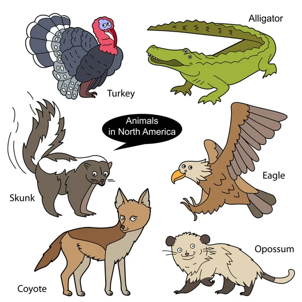 Συλλογή Αστεία Χαριτωμένα Ζώα Που Ζουν Στη Βόρεια Αμερική Αντικείμενα — Διανυσματικό Αρχείο