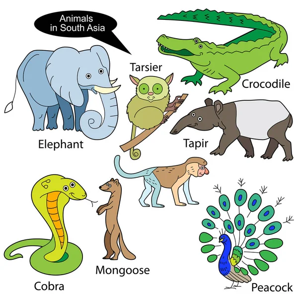 Kollektion Mit Lustigen Süßen Tieren Die Südasien Leben Objekte Isoliert — Stockvektor