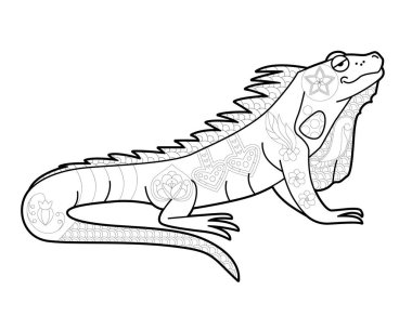 Boyama kitabı için doğrusal çizimleri birleştir. Hayvan iguanası, stres karşıtı resim. Zentangle tarzı ve boyama sayfasında yetişkin ya da çocuklar için çizgi tasarımı.