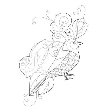 Boyama kitabı için kuşla doğrusal çizim yap. Şirin cennet kuşu, stres karşıtı bir resim. Zentangle tarzı ve boyama sayfasında yetişkin ya da çocuklar için çizgi tasarımı.