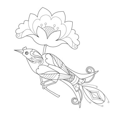 Boyama kitabı için doğrusal çizimleri birleştir. Güzel tropikal egzotik bir kuş, stres karşıtı bir resim. Zentangle tarzı ve boyama sayfasında yetişkin ya da çocuklar için çizgi tasarımı.