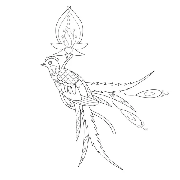 Illustrazione Lineare Del Contorno Libro Colorare Bellissimo Uccello Esotico Tropicale — Vettoriale Stock