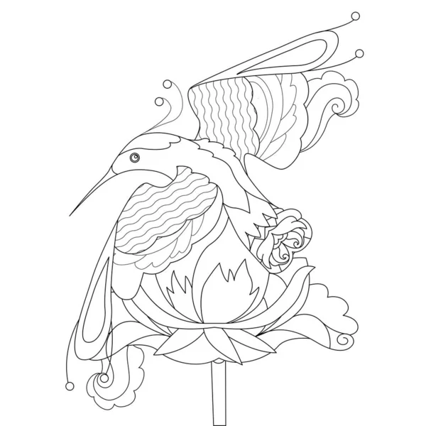 Illustration Linéaire Contour Pour Livre Colorier Bel Oiseau Exotique Tropical — Image vectorielle