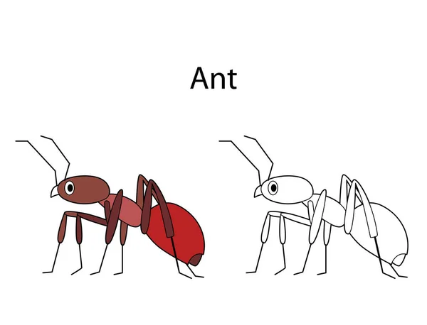 Grappig Schattig Insect Mier Geïsoleerd Witte Achtergrond Lineair Contour Zwart — Stockvector