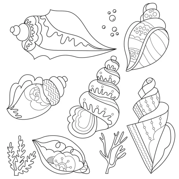 Contour Linear Illustration Shell Set Cute Shells Stress Picture Line — Wektor stockowy