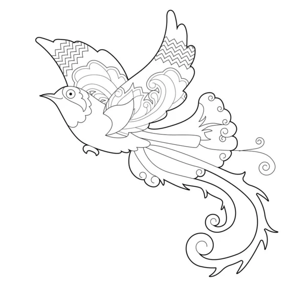 Ilustración Lineal Contorno Para Colorear Libro Con Pájaro Paraíso Hermoso — Vector de stock