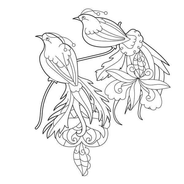 Тропічні Химерні Птахи Чорно Біле Зображення Контурна Лінійна Ілюстрація Розмальовки — стоковий вектор