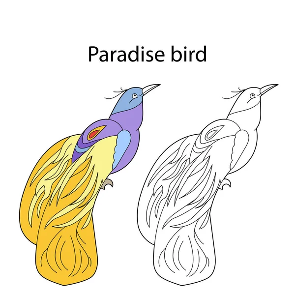 Divertido Lindo Pájaro Paraíso Aislado Sobre Fondo Blanco Versión Lineal — Vector de stock