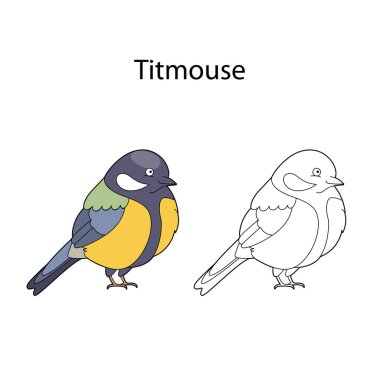 Funny cute bird titmouse isolated on white background. Linear, contour, black and white and colored version. Illustration can be used for coloring book and pictures for children