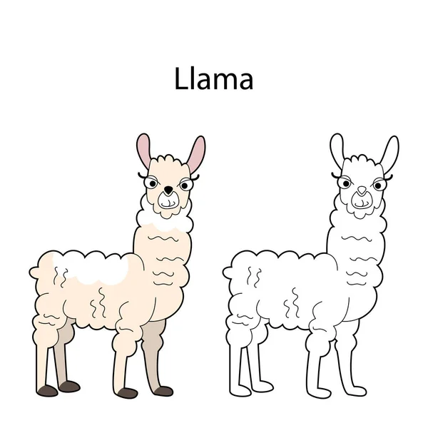 Funny Cute Animal Llama Isolated White Background Linear Contour Black — Image vectorielle