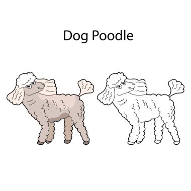 Güzel evcil köpek. Yavru kaniş. Beyaz arka planda izole edilmiş komik sevimli bir hayvan. Doğrusal, tek renkli ve renkli versiyonu. Resim, çocuklar için boyama kitabı ve resimler için sembol olarak kullanılabilir..