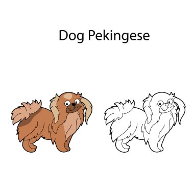 Pretty dog. Breed pekingese. Funny cute animal isolated on white background. Linear, monochrome and colored version. Illustration can be used as symbol, for coloring book and pictures for children. clipart