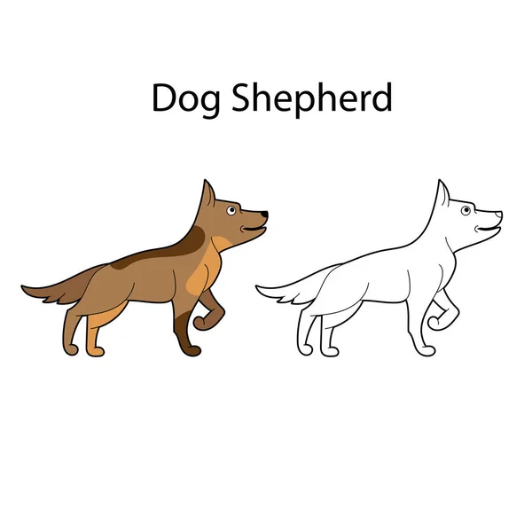 Güzel Köpek Çoban Yetiştirmek Beyaz Arka Planda Izole Edilmiş Komik — Stok Vektör