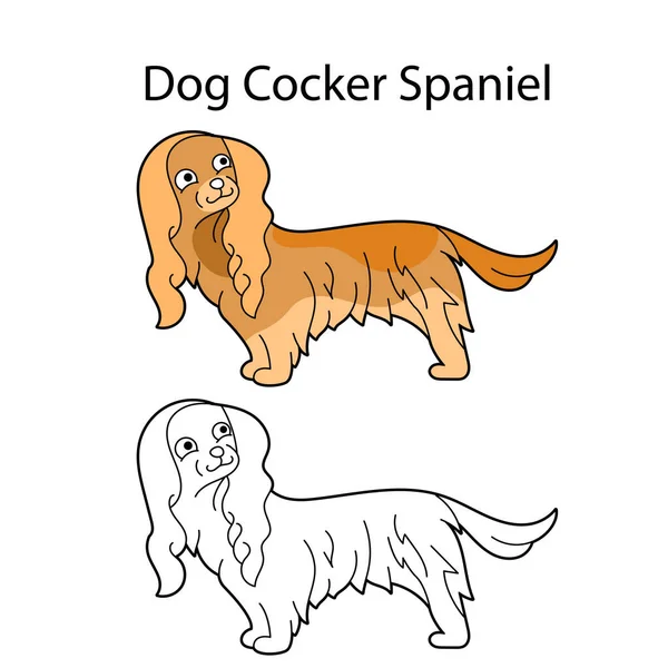 Joli Chien Épagneul Cocker Race Humour Animal Isolé Sur Fond — Image vectorielle