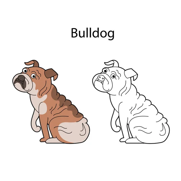 Bonito Cão Estimação Raça Bulldog Engraçado Animal Bonito Isolado Fundo — Vetor de Stock