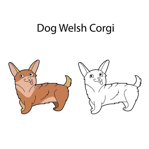 Snygg Hund Walesisk Corgi Roligt Gulligt Djur Isolerad Vit Bakgrund — Stock vektor